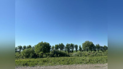 'Bugun O`zbekistonda 30 daraja issiq bo`ladi'ning rasmi