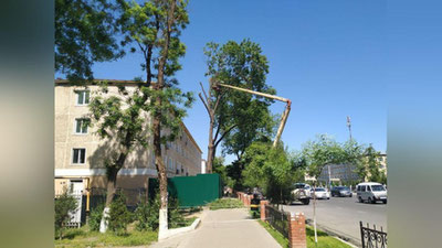 Изрображение 'Ташкент занял пятое место в рейтинге городов с самым грязным воздухом'