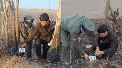 'Xorazmda 138 tup daraxt va butalarni yoqib yuborgan shaxslar 756 mln so`mdan ortiq zararni qoplaydi'ning rasmi