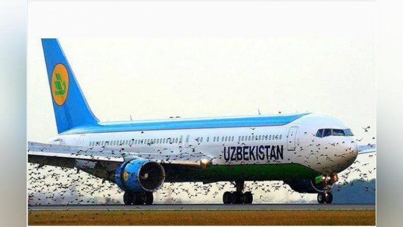 Изрображение 'НЕИСПРАВНОСТЬ САМОЛЕТА UZBEKISTAN AIRWAYS УСТРАНЕНА'