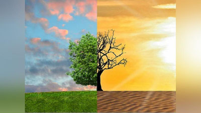 Изрображение 'Ученые прогнозируют массовую нехватку продуктов к 2050 году'