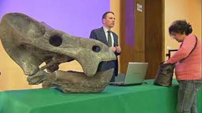 'Polshada 200 million yil avval yashagan jonivorning bosh suyagi topildi 'ning rasmi