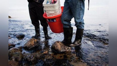 Изрображение 'В Мексиканском заливе произошла утечка нефти'