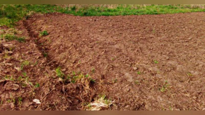 Изрображение 'В ПРИАРАЛЬЕ ВМЕСТО ХЛОПКА БУДУТ ВЫРАЩИВАТЬ КРАСНЫЙ ПЕРЕЦ'