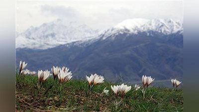 '3 март куни кутилаётган об-ҳаво маълумоти'ning rasmi