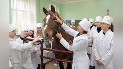 'Samarqandda yana bir OTM filiali ish boshlaydi'ning rasmi