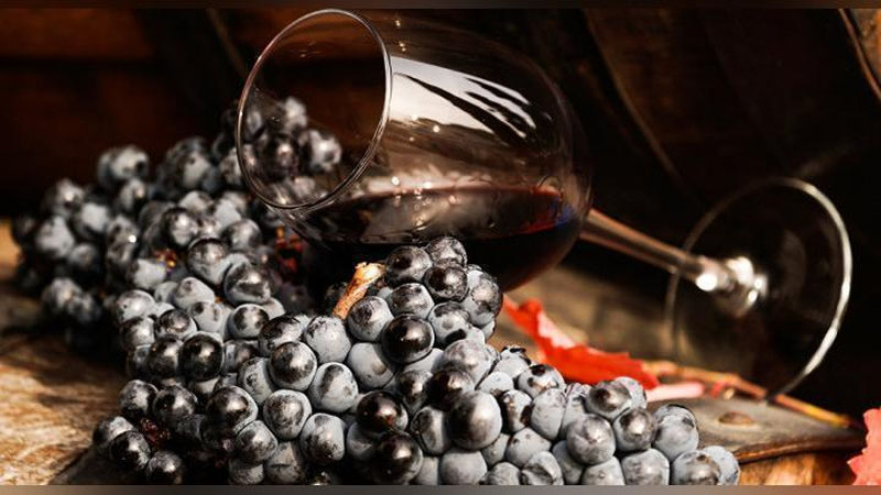 'Toshkentda ilk bor «Vino san`ati» festivali o`tkaziladi'ning rasmi