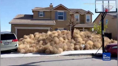 Изрображение 'СОТНИ ДОМОВ В КАЛИФОРНИИ АТАКОВАЛО ПЕРЕКАТИ-ПОЛЕ (ВИДЕО)'
