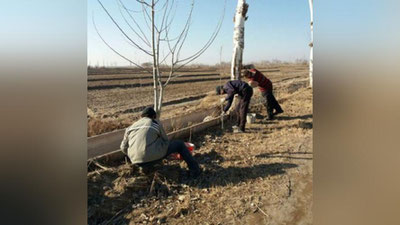 '  Moliya vazirligi: “Haq to`lanadigan jamoat ishlarini tashkil qilishdagi moliyaviy qonunbuzarliklar aniqlandi”'ning rasmi