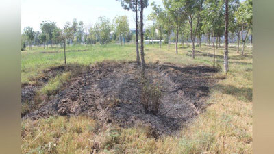 Изрображение 'В Самарканде фейерверк поджег сухую траву (видео)'