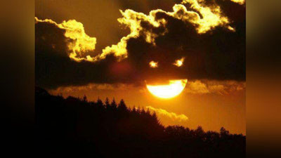 Изрображение 'ЖАРА В ТАШКЕНТЕ И В СОЦИАЛЬНЫХ СЕТЯХ (ФОТО)'