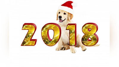 'TILLARANG IT YILI KIMGA QANDAY KELADI?'ning rasmi