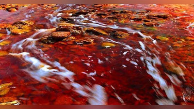 'Qozog`istondagi daryo qon tusiga kirdi (Video)'ning rasmi