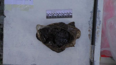 'Yuk poezdi vagonining xufiya joyidan giyohvandlik moddasi topildi'ning rasmi