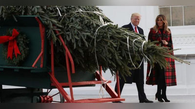 'Bayram yaqin: Oq uyga Yangi yil yarchasi keltirildi'ning rasmi