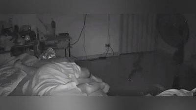 Изрображение 'НАПАДЕНИЕ ЗМЕИ НА СПЯЩУЮ ПЕНСИОНЕРКУ ПОПАЛО НА ВИДЕО'