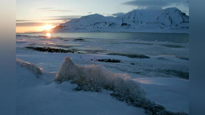 'Millonlab odamlarning bevaqt o`limiga nima sabab bo`ladi? 'ning rasmi