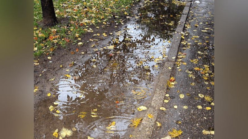 '24 noyabr kuni ayrim joylarda yomg`ir yog`ib, qorga aylanishi mumkin'ning rasmi