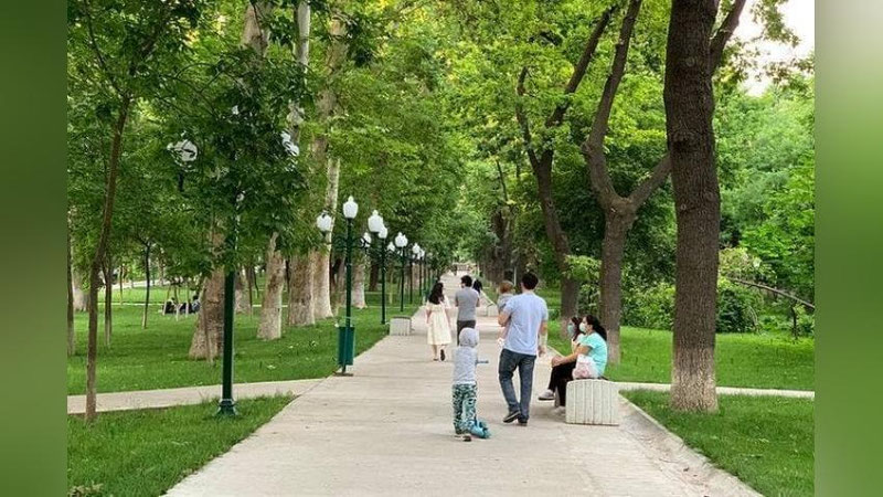 'O`zbekistonda jamoat joylarida yuzni to`sib yurganlik uchun javobgarlik belgilanishi kutilmoqda'ning rasmi