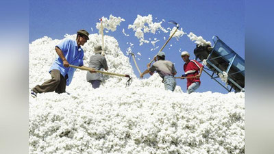 'PAXTA XOM AShYoSI UChUN NARXLAR BELGILANDI'ning rasmi