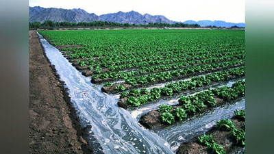 Изрображение 'Службы поставки воды будут созданы в регионах Узбекистана'