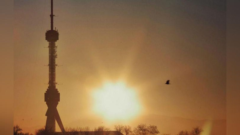 'O`zbekistonda ertangi ob-havo bugungidanda issiq bo`ladi'ning rasmi