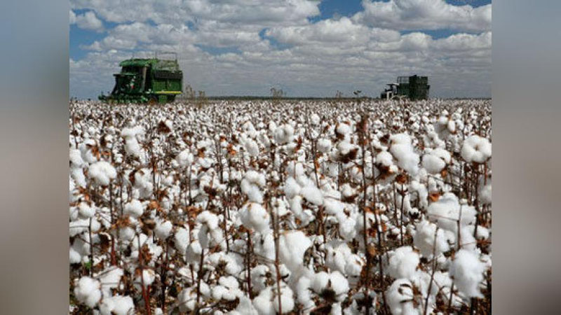 'SAMARQANDLIK ZIYoLILAR VA MEHNAT FAXRIYLARI BARChANI PAXTA YIG`IM-TERIMIDA FAOLLIKKA ChAQIRIShDI'ning rasmi