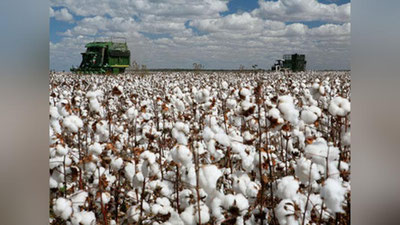 '​SAMARQANDLIK ZIYoLILAR VA MEHNAT FAXRIYLARI BARChANI PAXTA YIG`IM-TERIMIDA FAOLLIKKA ChAQIRIShDI'ning rasmi