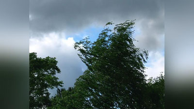 'Dushanba kunidan boshlab havo harorati pasayadi'ning rasmi