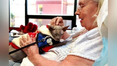 Изрображение 'ТОП-5 ЖИВОТНЫХ, КОТОРЫЕ НАС ЛЕЧАТ'