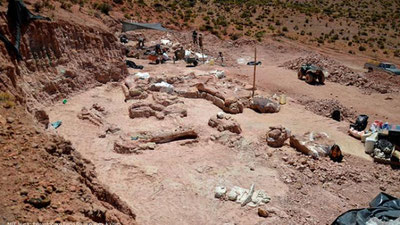 'ЭНГ УЛКАН ДИНОЗАВР СУЯКЛАРИ ТОПИЛДИ'ning rasmi