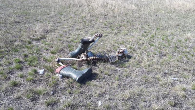 Изрображение 'В КАЗАХСТАНЕ НАШЛИ СКЕЛЕТ ПАРНЯ И УЗБЕКСКИЙ ПАСПОРТ ПРИ НЕМ'