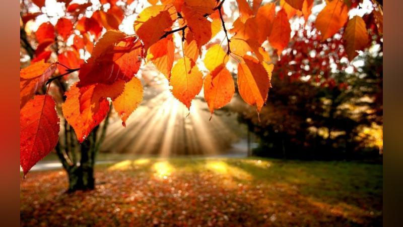 'ЭРТАГА – 9 НОЯБРЬ КУНИ МАМЛАКАТИМИЗДА КУТИЛАЁТГАН ОБ-ҲАВО МАЪЛУМОТИ'ning rasmi