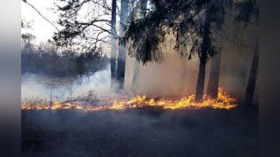 'Boliviyada 500 gektardan ortiq o`rmon yonib, kul bo`ldi'ning rasmi