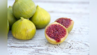 '​Anjir qaysi kasalliklarda foydali?'ning rasmi