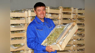 '​SAMARQANDDA 11 MINGTA YaNGI ISh O`RNI YaRATILADI'ning rasmi