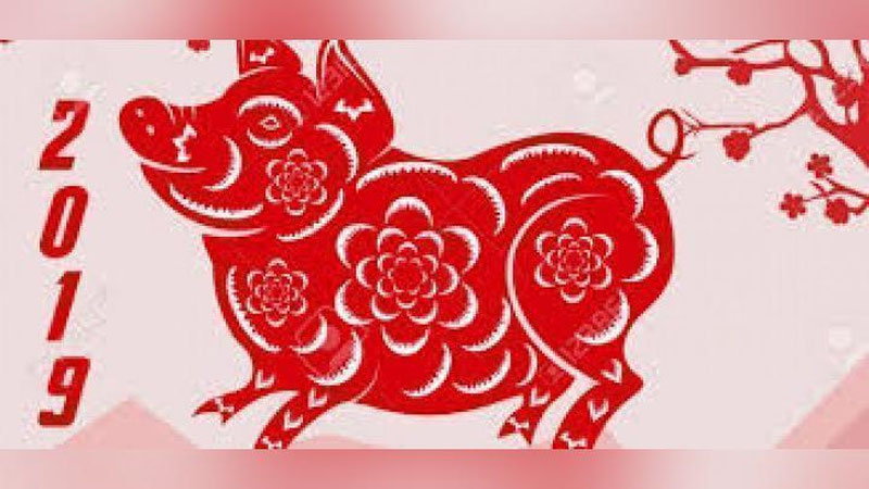 '2019 yilning 365 bekati: to`ng`iz yili nimalarni va`da qiladi?'ning rasmi