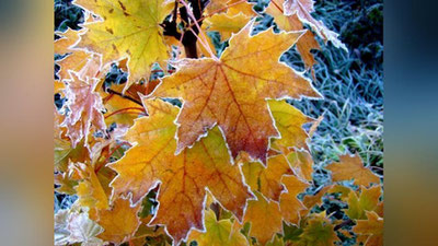 Изрображение 'ПРОГНОЗ ПОГОДЫ В УЗБЕКИСТАНЕ НА 16 НОЯБРЯ'