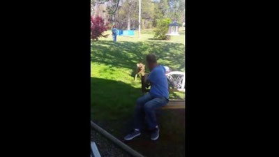 Изрображение 'ПЕС НЕ УЗНАЛ СВОЕГО ПОХУДЕВШЕГО НА 20 КГ ХОЗЯИНА (ВИДЕО)'