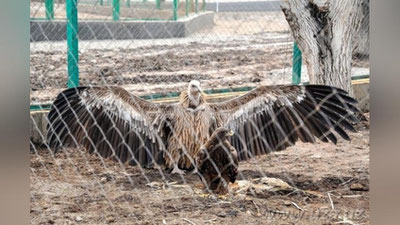 Изрображение 'В ФЕРГАНЕ ОТКРЫЛСЯ ЗООПАРК'