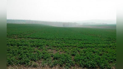 'Chexiyada hozirgacha gestapoga tegishli er uchastkasi borligi aniqlandi 'ning rasmi