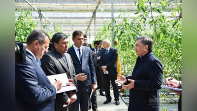 'Президент гидропоника бўйича кадрлар тайёрлаш зарурлигини таъкидлади 'ning rasmi