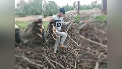 Изрображение 'РОДИТЕЛЕЙ ДЕТЕЙ, ИЗДЕВАВШИХСЯ НАД ЩЕНКОМ, ОШТРАФОВАЛИ'