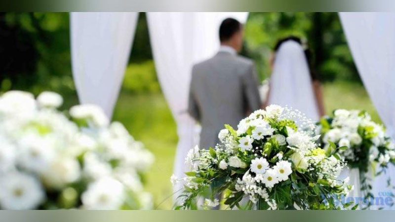 'Senat to`ylarni tartibga solish bo`yicha qaror qabul qildi'ning rasmi