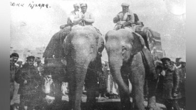 'Amir Olimxonning hech qaerda e`lon qilinmagan nodir tasvirlari (foto+video)'ning rasmi