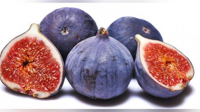 'ANJIR — ISITMANI TUShIRADI!'ning rasmi