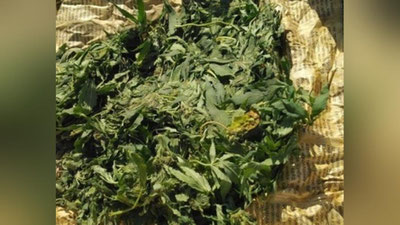 'Giyohvandlik moddalarining noqonuniy  oldi-sotdisiga chek qo`yildi'ning rasmi