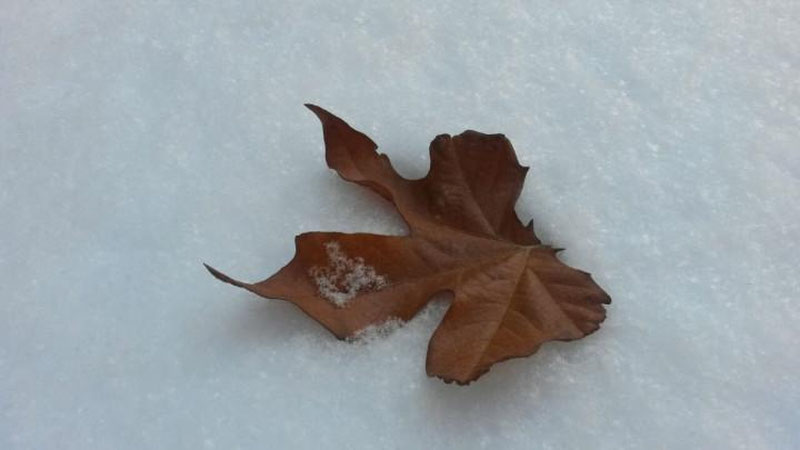 Изрображение 'ПОГОДА НА 28 НОЯБРЯ: ДНЕМ СТАНЕТ ТЕПЛЕЕ'