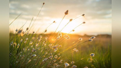 'Бугун баъзи ҳудудларда қисқа муддатли ёмғир ёғади'ning rasmi