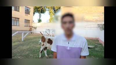 'Samarqandda "Nexia"da qoramol o`g`irlagan fuqarolar qo`lga olindi'ning rasmi